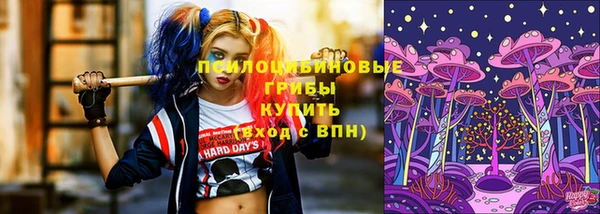 МДПВ Абинск