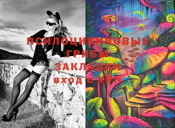 МДПВ Абинск